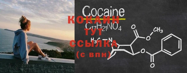 мет Каменногорск