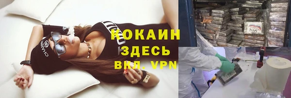 мет Каменногорск