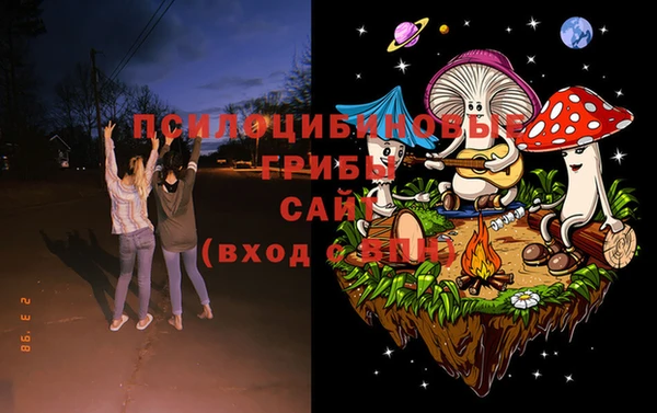 мет Каменногорск