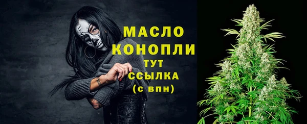 мет Каменногорск