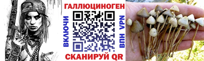 Галлюциногенные грибы мухоморы  Купить  Красково 